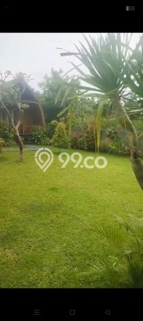 HARGA TERBAIK! Vila di Gerokgak, Area 1250m2m², Lokasi Prima HARGA TERBAIK! Vila di Gerokgak, Area 1250m2m², Lokasi Prima
