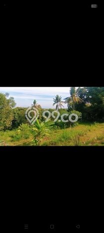 Tanah Investasi Dijual di Buleleng Punya Luas 2000m2 Tanah Investasi Dijual di Buleleng Punya Luas 2000m2