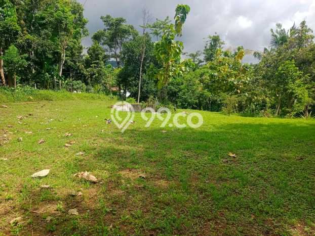 Tanah Kavling Dijual di Buleleng dengan Spesifikasi 2500m2 Tanah Kavling Dijual di Buleleng dengan Spesifikasi 2500m2