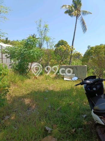 Tanah Investasi Dijual di Buleleng Punya Luas 2000m2 Tanah Investasi Dijual di Buleleng Punya Luas 2000m2