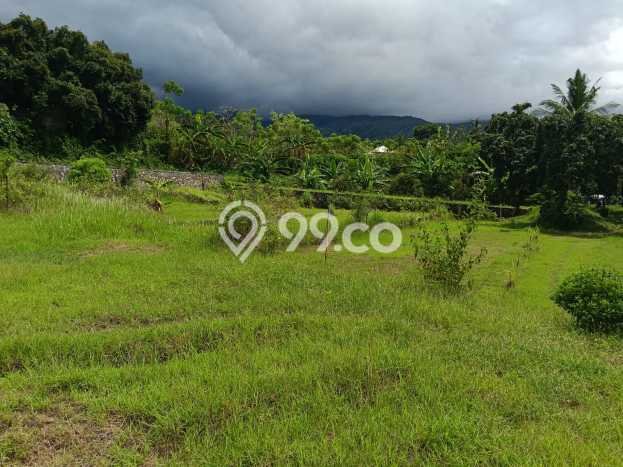 Kavling Tanah Dijual di Buleleng, Buleleng, Luas 1000m2 Area Strategis Kavling Tanah Dijual di Buleleng, Buleleng, Luas 1000m2 Area Strategis