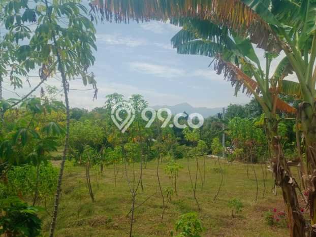 Lahan Dijual Lokasi Strategis di Buleleng dengan Luas 1200m2 Lahan Dijual Lokasi Strategis di Buleleng dengan Luas 1200m2