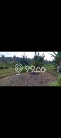 Lahan Investasi Lokasi Karangasem Karangasem SHM Lahan Investasi Lokasi Karangasem Karangasem SHM
