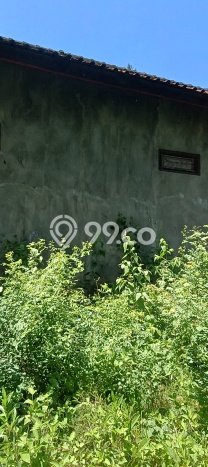 Untuk Dijual Tanah di Buleleng, Luas 1000m2 SHM Untuk Dijual Tanah di Buleleng, Luas 1000m2 SHM