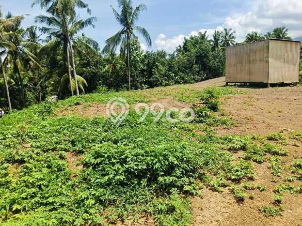 Tanah Dijual di Buleleng Seluas 930m2 Strategis Tanah Dijual di Buleleng Seluas 930m2 Strategis