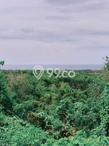 Kavling Tanah Dijual di Buleleng, Buleleng, Luas 1000m2 Area Strategis Kavling Tanah Dijual di Buleleng, Buleleng, Luas 1000m2 Area Strategis