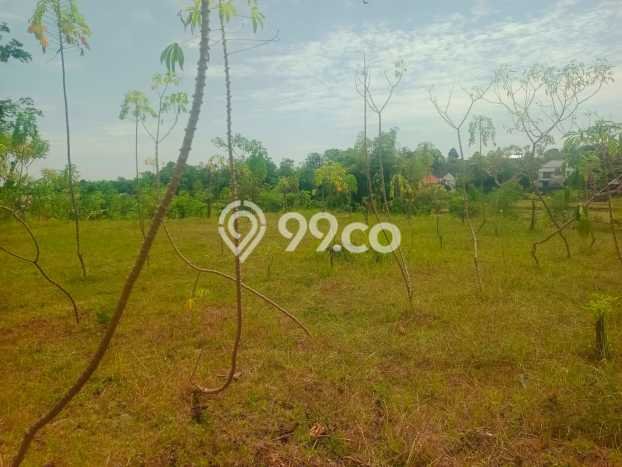 Lahan Dijual Lokasi Strategis di Buleleng dengan Luas 1200m2 Lahan Dijual Lokasi Strategis di Buleleng dengan Luas 1200m2