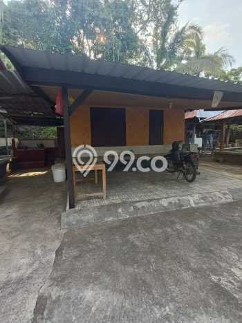 Rumah Luas Asri 2 KT Siap Huni di Lovina Buleleng Rumah Luas Asri 2 KT Siap Huni di Lovina Buleleng