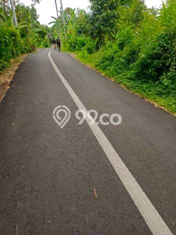 Tanah Kavling Dijual di Panji, Buleleng dengan Luas Tanah 2000m2 Tanah Kavling Dijual di Panji, Buleleng dengan Luas Tanah 2000m2