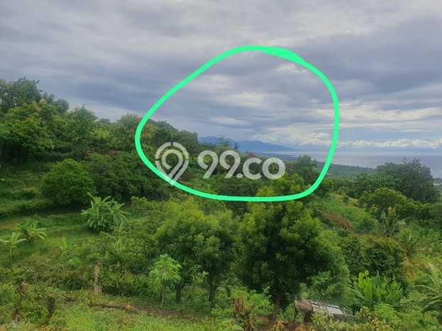Untuk Dijual Tanah di Buleleng, Luas 1210m2 SHM Untuk Dijual Tanah di Buleleng, Luas 1210m2 SHM