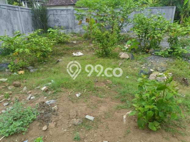Dijual Tanah Lokasi Lovina, Buleleng Seluas 482m2 Dijual Tanah Lokasi Lovina, Buleleng Seluas 482m2