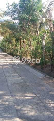 Kavling Tanah di Gerokgak Dijual Luas 1000m2 Legalitas SHM Kavling Tanah di Gerokgak Dijual Luas 1000m2 Legalitas SHM