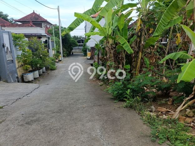 Tanah Kavling Dijual di Lovina, Buleleng dengan Luas Tanah 500m2 Tanah Kavling Dijual di Lovina, Buleleng dengan Luas Tanah 500m2