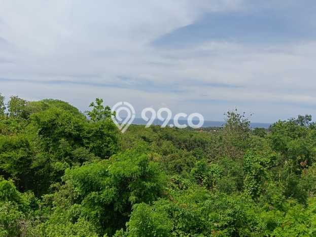 Kavling Tanah Dijual di Buleleng, Buleleng, Luas 1000m2 Area Strategis Kavling Tanah Dijual di Buleleng, Buleleng, Luas 1000m2 Area Strategis