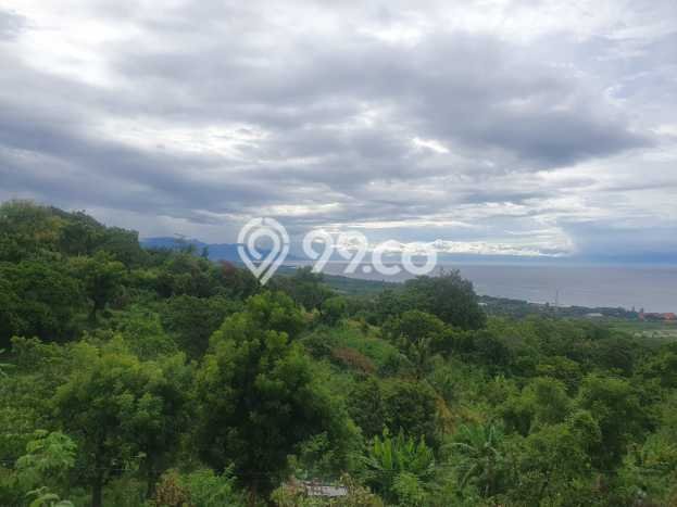 Untuk Dijual Tanah di Buleleng, Luas 1210m2 SHM Untuk Dijual Tanah di Buleleng, Luas 1210m2 SHM