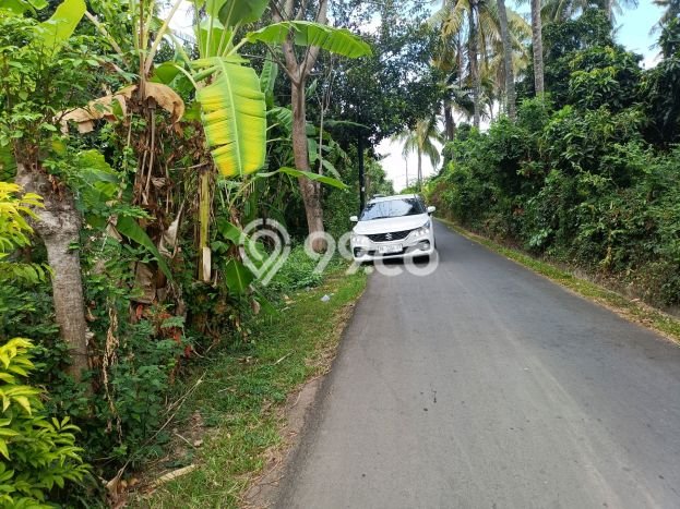 Dijual Tanah di Buleleng, Luas 1000m2 SHM Dijual Tanah di Buleleng, Luas 1000m2 SHM