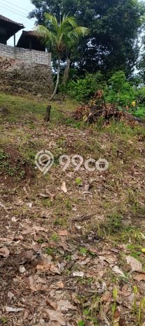 Rumah Minimalis 2 KT di Kayuputih Buleleng Unfurnished Rumah Minimalis 2 KT di Kayuputih Buleleng Unfurnished