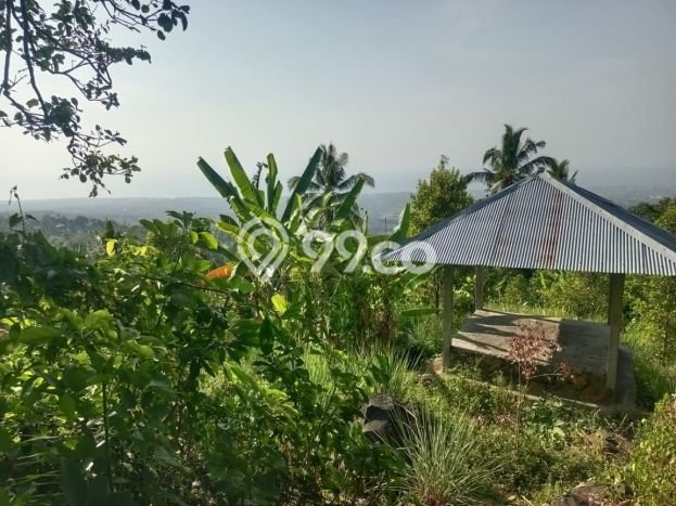 Dijual Tanah 4300m2 di Panji, Buleleng Dijual Tanah 4300m2 di Panji, Buleleng