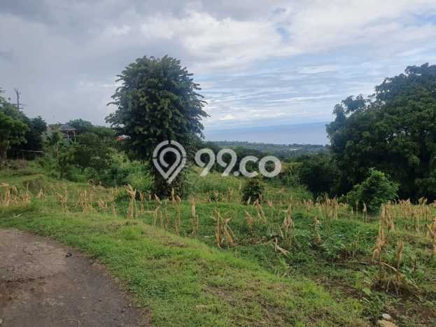 Untuk Dijual Tanah di Buleleng, Luas 1210m2 SHM Untuk Dijual Tanah di Buleleng, Luas 1210m2 SHM