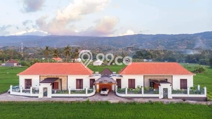 Rumah Idaman Keluarga! Rumah Mewah area Lovina, Buleleng, LT 600m2m² LB 250m2m² Rumah Idaman Keluarga! Rumah Mewah area Lovina, Buleleng, LT 600m2m² LB 250m2m²