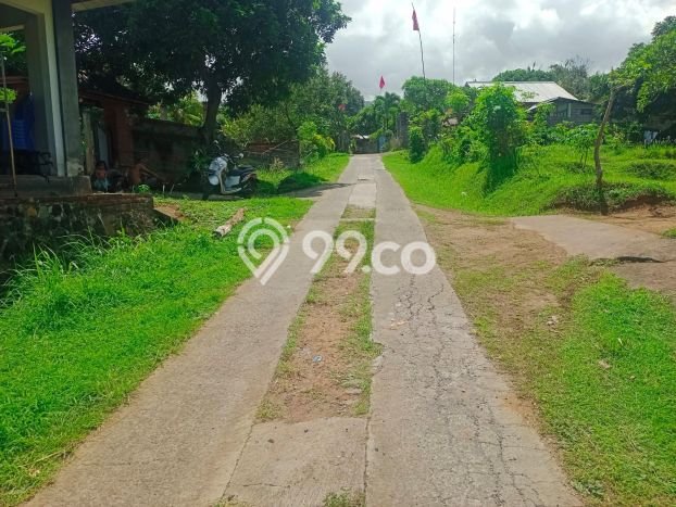 Dijual Tanah 1000m2 di Lovina, Buleleng Dijual Tanah 1000m2 di Lovina, Buleleng