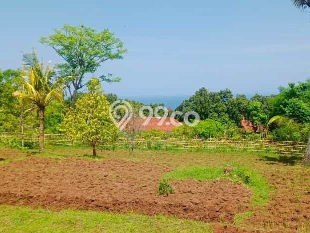 Dijual Tanah 1000m2 di Lovina, Buleleng Dijual Tanah 1000m2 di Lovina, Buleleng
