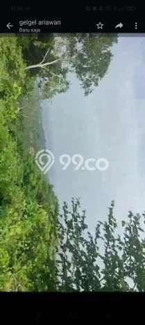 AREA PROSPEKTIF! Tanah di Kayuputih, Luas 10000m2m², Akses Fasilitas Umum AREA PROSPEKTIF! Tanah di Kayuputih, Luas 10000m2m², Akses Fasilitas Umum