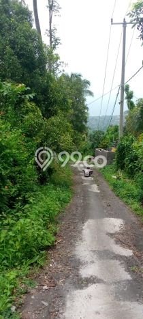 Dijual Tanah Lokasi Lovina, Buleleng Seluas 1000m2 Dijual Tanah Lokasi Lovina, Buleleng Seluas 1000m2