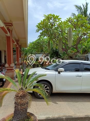 Rumah Modern 3 KT di Lovina Buleleng Full Furnished Rumah Modern 3 KT di Lovina Buleleng Full Furnished