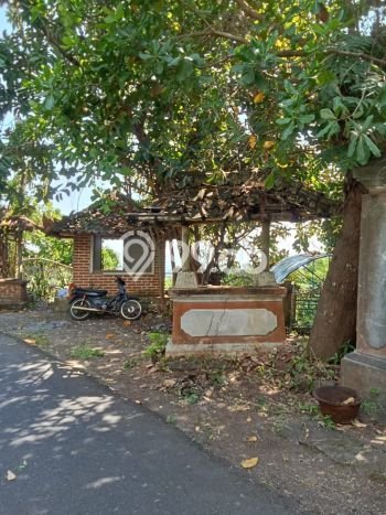 Dijual Hunian Rumah Terawat 8 Kamar di Lovina, Buleleng Dijual Hunian Rumah Terawat 8 Kamar di Lovina, Buleleng