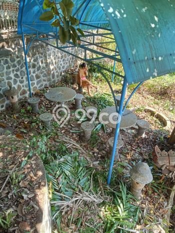 Dijual Hunian Rumah Terawat 8 Kamar di Lovina, Buleleng Dijual Hunian Rumah Terawat 8 Kamar di Lovina, Buleleng