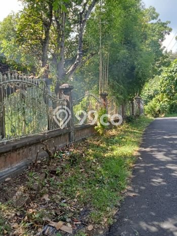 Dijual Hunian Rumah Terawat 8 Kamar di Lovina, Buleleng Dijual Hunian Rumah Terawat 8 Kamar di Lovina, Buleleng