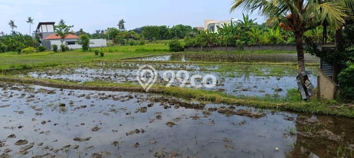Untuk Dijual Tanah 1900m2 di Anturan, Buleleng Untuk Dijual Tanah 1900m2 di Anturan, Buleleng