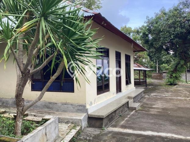 Rumah Luas Asri 2 KT Siap Huni di Lovina Buleleng Rumah Luas Asri 2 KT Siap Huni di Lovina Buleleng