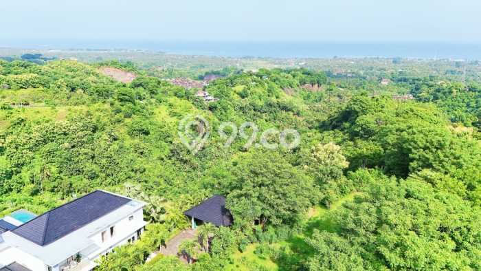 Tanah Investasi Dijual di Buleleng Punya Luas 4330m2 Tanah Investasi Dijual di Buleleng Punya Luas 4330m2
