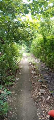 Tanah Kavling untuk Dijual di Gerokgak Buleleng 1000m2 Tanah Kavling untuk Dijual di Gerokgak Buleleng 1000m2