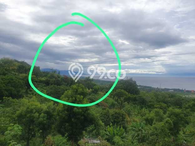 Untuk Dijual Tanah di Buleleng, Luas 1210m2 SHM Untuk Dijual Tanah di Buleleng, Luas 1210m2 SHM