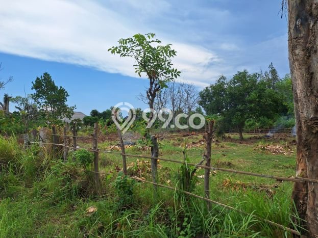 Tanah Dijual di Buleleng Seluas 1250m2 Strategis Tanah Dijual di Buleleng Seluas 1250m2 Strategis