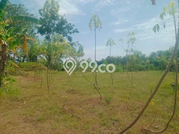 Lahan Dijual Lokasi Strategis di Buleleng dengan Luas 1200m2 Lahan Dijual Lokasi Strategis di Buleleng dengan Luas 1200m2