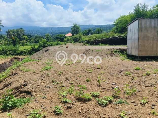 Tanah Dijual di Buleleng Seluas 930m2 Strategis Tanah Dijual di Buleleng Seluas 930m2 Strategis