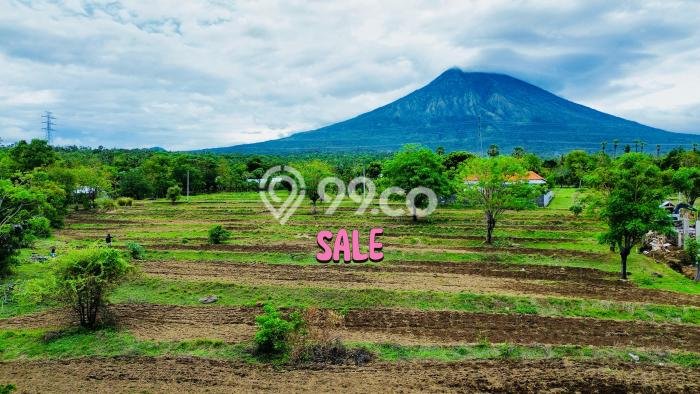 Jarang Ada! Tanah di Amed Punya Luas 500m2 SHM Jarang Ada! Tanah di Amed Punya Luas 500m2 SHM