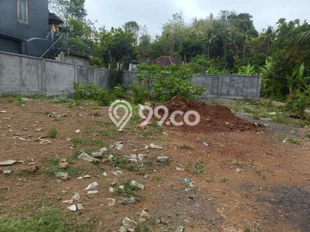 Dijual Tanah Lokasi Lovina, Buleleng Seluas 482m2 Dijual Tanah Lokasi Lovina, Buleleng Seluas 482m2