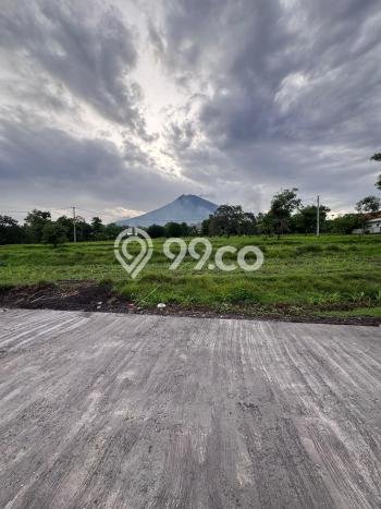 Jarang Ada! Tanah di Amed Punya Luas 500m2 SHM Jarang Ada! Tanah di Amed Punya Luas 500m2 SHM