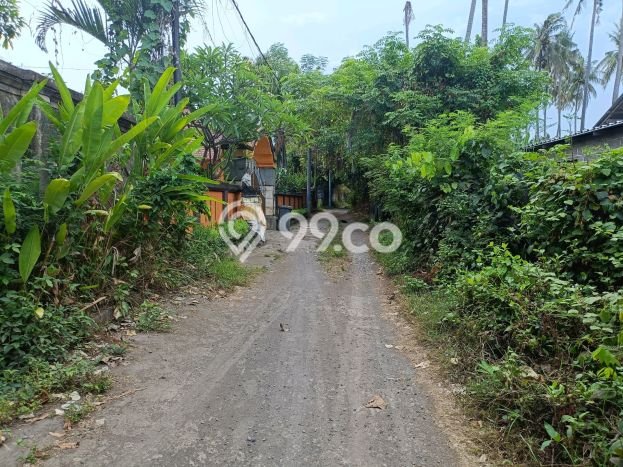 Tanah Kavling Dijual di Lovina, Buleleng dengan Luas Tanah 1950m2 Tanah Kavling Dijual di Lovina, Buleleng dengan Luas Tanah 1950m2