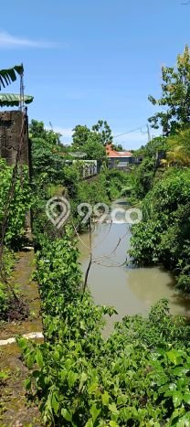 Untuk Dijual Tanah di Buleleng, Luas 1000m2 SHM Untuk Dijual Tanah di Buleleng, Luas 1000m2 SHM