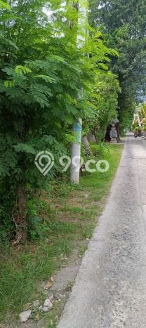 Lahan untuk Dijual di Gerokgak Buleleng Luas 900m2 Lahan untuk Dijual di Gerokgak Buleleng Luas 900m2