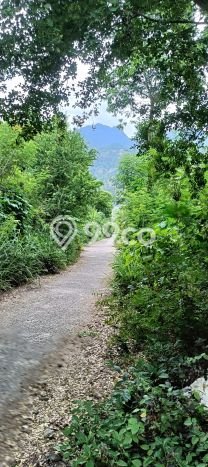 Lahan untuk Dijual di Gerokgak Buleleng Luas 900m2 Lahan untuk Dijual di Gerokgak Buleleng Luas 900m2