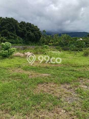 Kavling Tanah Dijual di Buleleng, Buleleng, Luas 1000m2 Area Strategis Kavling Tanah Dijual di Buleleng, Buleleng, Luas 1000m2 Area Strategis