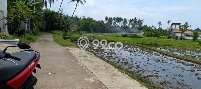 Untuk Dijual Tanah 1900m2 di Anturan, Buleleng Untuk Dijual Tanah 1900m2 di Anturan, Buleleng