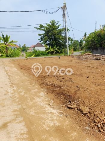 Dijual Tanah Lokasi Lovina, Buleleng Seluas 482m2 Dijual Tanah Lokasi Lovina, Buleleng Seluas 482m2